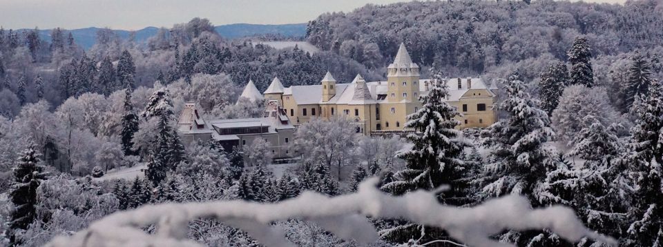 Schloss Kornberg im Winter